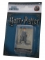 Preview: Ron Weasley Front Harry Potter